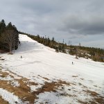 img-20240207-wa0002
